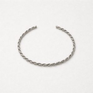 SILVER TWIST CHOKER