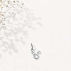 Zodiac Essence Charm Collection