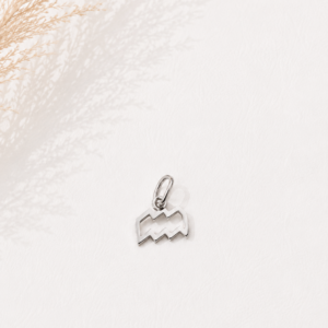 Zodiac Essence Charm Collection
