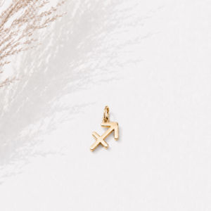 Zodiac Essence Charm Collection