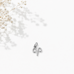 Zodiac Essence Charm Collection