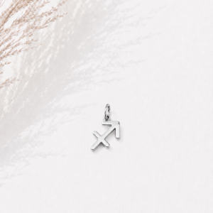 Zodiac Essence Charm Collection