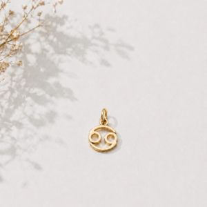 Zodiac Essence Charm Collection