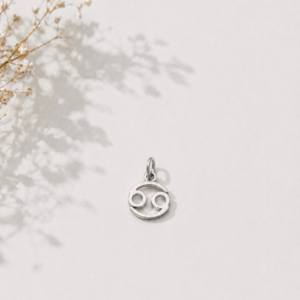 Zodiac Essence Charm Collection