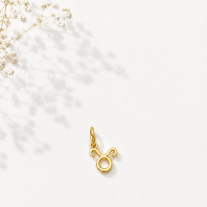 Zodiac Essence Charm Collection