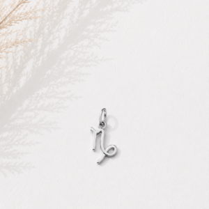 Zodiac Essence Charm Collection
